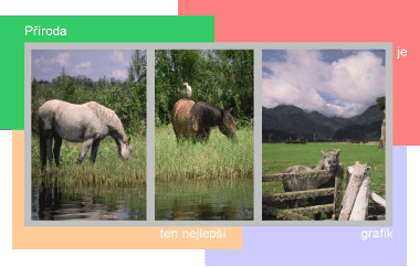 kone.gif(51 kb)