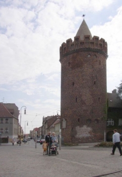 ufoto7.jpg