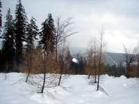 pencovka12.jpg