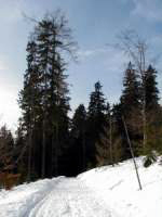 pencovka57.jpg