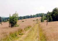 pieniny49.jpg