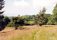 pieniny50.jpg