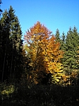 PA280139.JPG