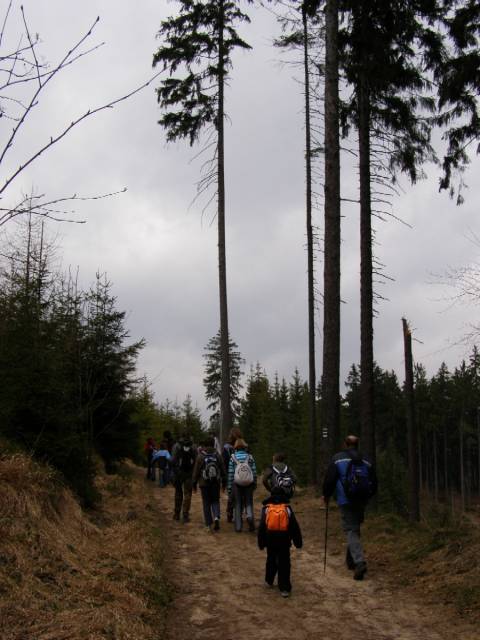 09.jpg