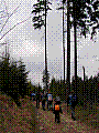 09.jpg