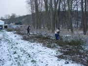 Brigda na turistick zkladn a v lesoparku