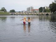 Dv kachny...