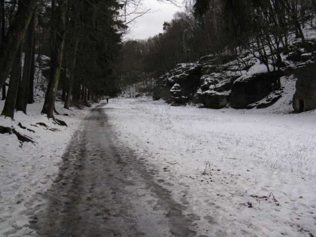 Nedvezi_2009_01.jpg