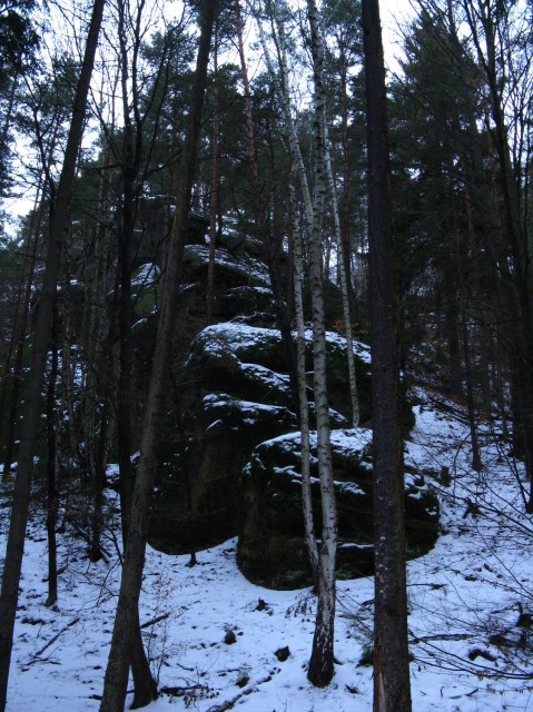 Nedvezi_2009_03.jpg