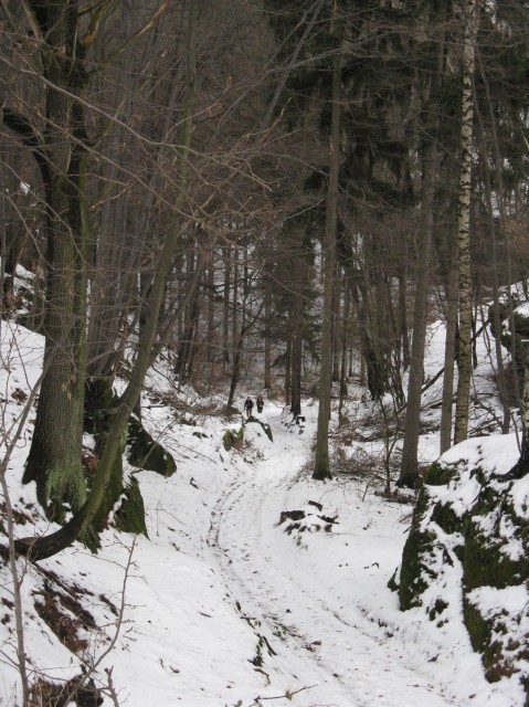 Nedvezi_2009_09.jpg