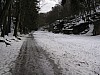 Nedvezi_2009_01.jpg