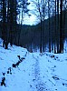 Nedvezi_2009_02.jpg