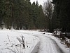 Nedvezi_2009_05.jpg