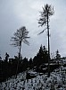 Nedvezi_2009_07.jpg
