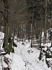 Nedvezi_2009_09.jpg