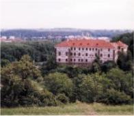 Zmek Nelahozeves